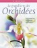 Le grand livre des orchid�es  -  Collectif