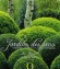 Jardins des sens - ouvrage qui doit veiller les sens, l'imaginaire et la crativit de chacun.- - Erna Maynard - Jardins, plantes, senteurs - Anne VERTEUIL (de)