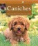 Caniches -  Collectif