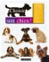 Choisir son chien ! - 100 races  la loupe - Amanda O'Neill - Animaux, chiens - Amanda O'Neill