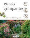 Grimpantes - Plantes - Choisir, installer, entretenir et soigner ses plantes grimpantes et couvre-murs. - Jardinage, plantes - Collectif - Libristo