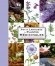 Petit Larousse des plantes médicinales - 300 plantes médicinales - Plantes, santé, médecine -  Collectif