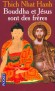 Bouddha et Jsus sont des frres - Ce livre est une invitation spirituelle pour approfondir les traditions chrtiennes et bouddhistes. - Nhat-Hanh Thich -  Religions - Nhat hanh Thich
