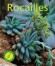 Rocailles -  Collectif