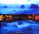 Musiques des mondes celtes -  Jean-Pierre Pichard - Philip Plisson -  Musiques du monde, folklore