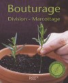 Bouturage - Boutures de rameaux ou de feuilles, multiplication par division ou par marcottage... - Jean-Paul Pesty, Patrick Mioulane - Jardinage, plantes - MIOULANE Patrick - Libristo