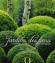 Jardins des sens - ouvrage qui doit éveiller les sens, l'imaginaire et la créativité de chacun.- - Erna Maynard - Jardins, plantes, senteurs