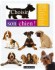 Choisir son chien ! - 100 races à la loupe - Amanda O'Neill - Animaux, chiens