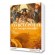 Marco Polo - Les voyages interdits T2 - Gary Jennings