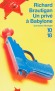 Un privé à Babylone - Un pastiche policier par un poète de l’absurde, ça donne ça : un privé, mais alors privé de tout - BRAUTIGAN RICHARD  - Roman - Richard Brautigan
