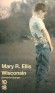 Wisconsin - Dans les années soixante, au nord du Wisconsin, deux frères conjurent à leur manière la violence du père et la déchéance d’une mère,  - ELLIS MARY RELINDES  - Roman - Mary relindes Ellis