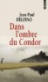 Dans l'ombre du Condor - Lucina, seize ans, a deux passions : la musique et la politique. Paulinho, vingt ans, rêve de richesse et de femmes. -  Par Jean-Paul Delfino  - Roman - Jean-Paul DELFINO
