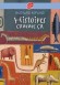 Histoires comme ça - Rudyard Kipling, Martin Jarrie, Laurence Kiefé - Contes,  jeunesse