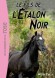 Le Fils de l'Etalon Noir - Le fils de Black se reconnaît facilement : il a hérité de son caractère ! Mais Henry, le vieil entraîneur, ne compte pas laisser cette bête fougueuse en faire à sa tête...- Walter Farley - Roman, jeunesse