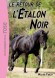 L'étalon noir - Le retour de l'Etalon Noir  - Walter Farley -  Déserts Proche et Moyen-Orient - Jeunesse - 10 ans