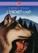 L'Enfant-loup - En Lozère, à la fin du XIXe siècle, trois frères capturent une étrange créature dans les bois : un enfant sauvage, élevé par des loups...- Par Florence Reynaud - Roman, jeunesse, à partir de 10 ans